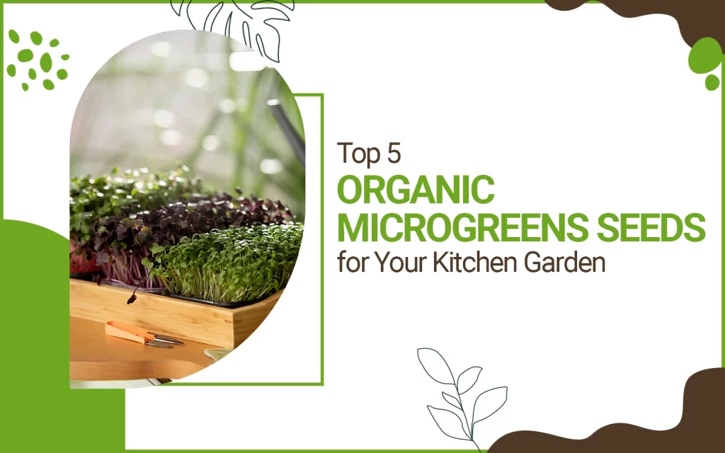 Organic Microgreens Seeds