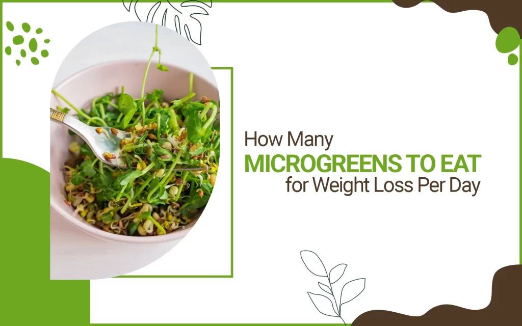 Microgreens to Eat for Weight Loss Per Day